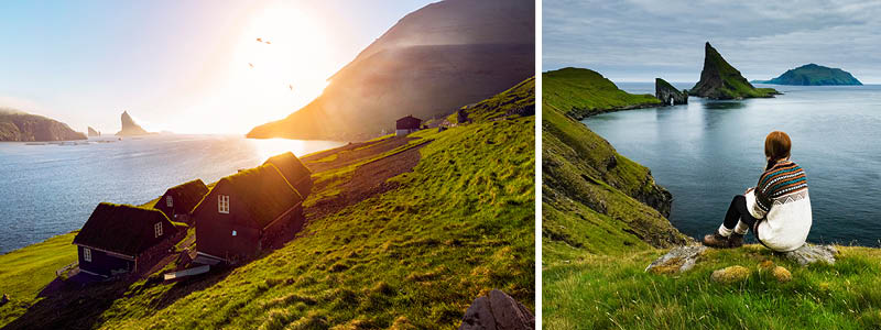 FAbelagtige Færøerne